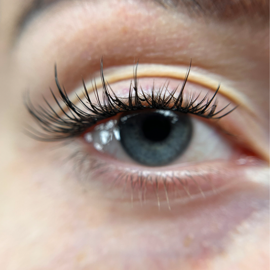 DIY Lash Kit- Natural look