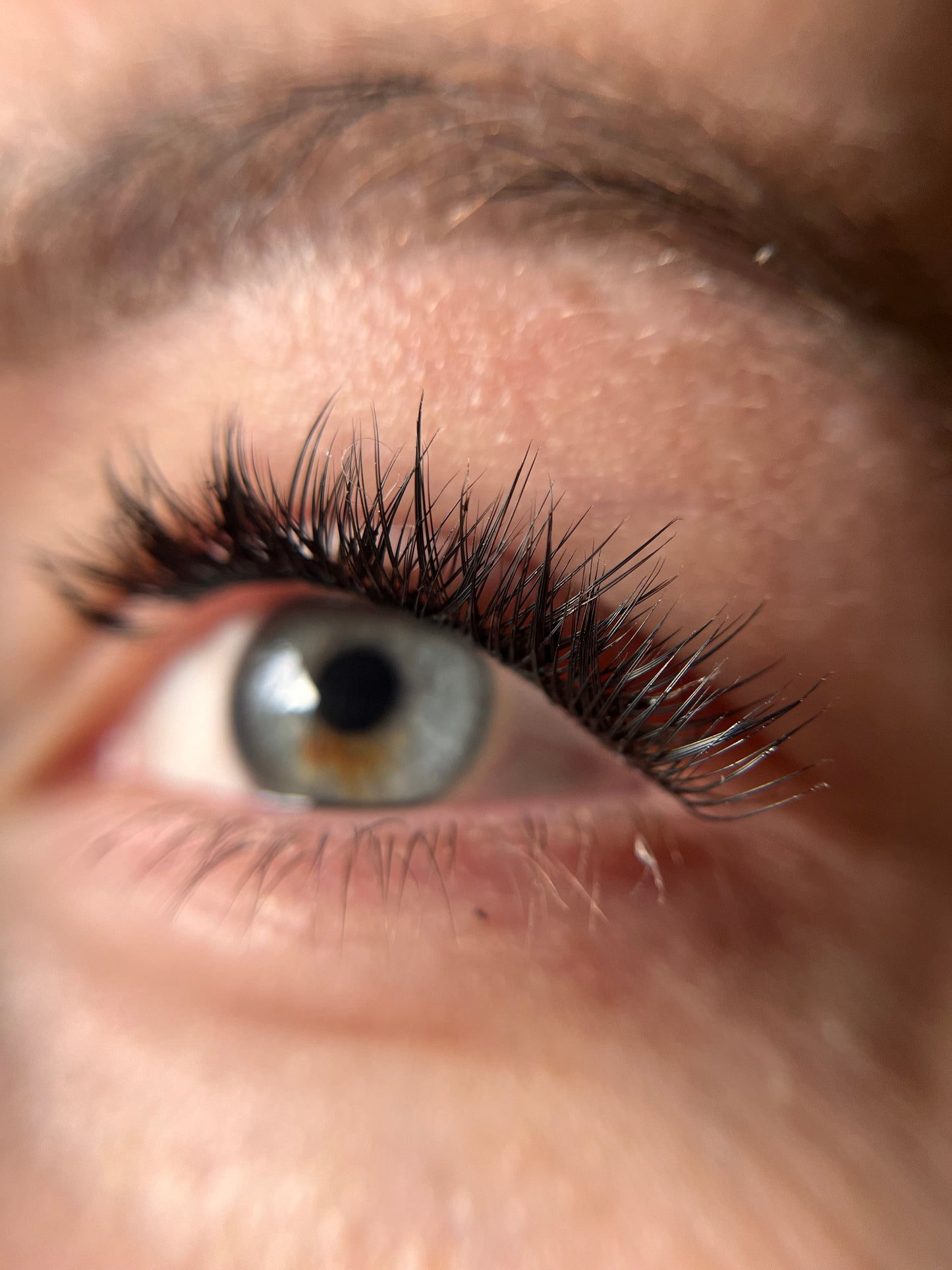 DIY Lash Kit- Elegant look