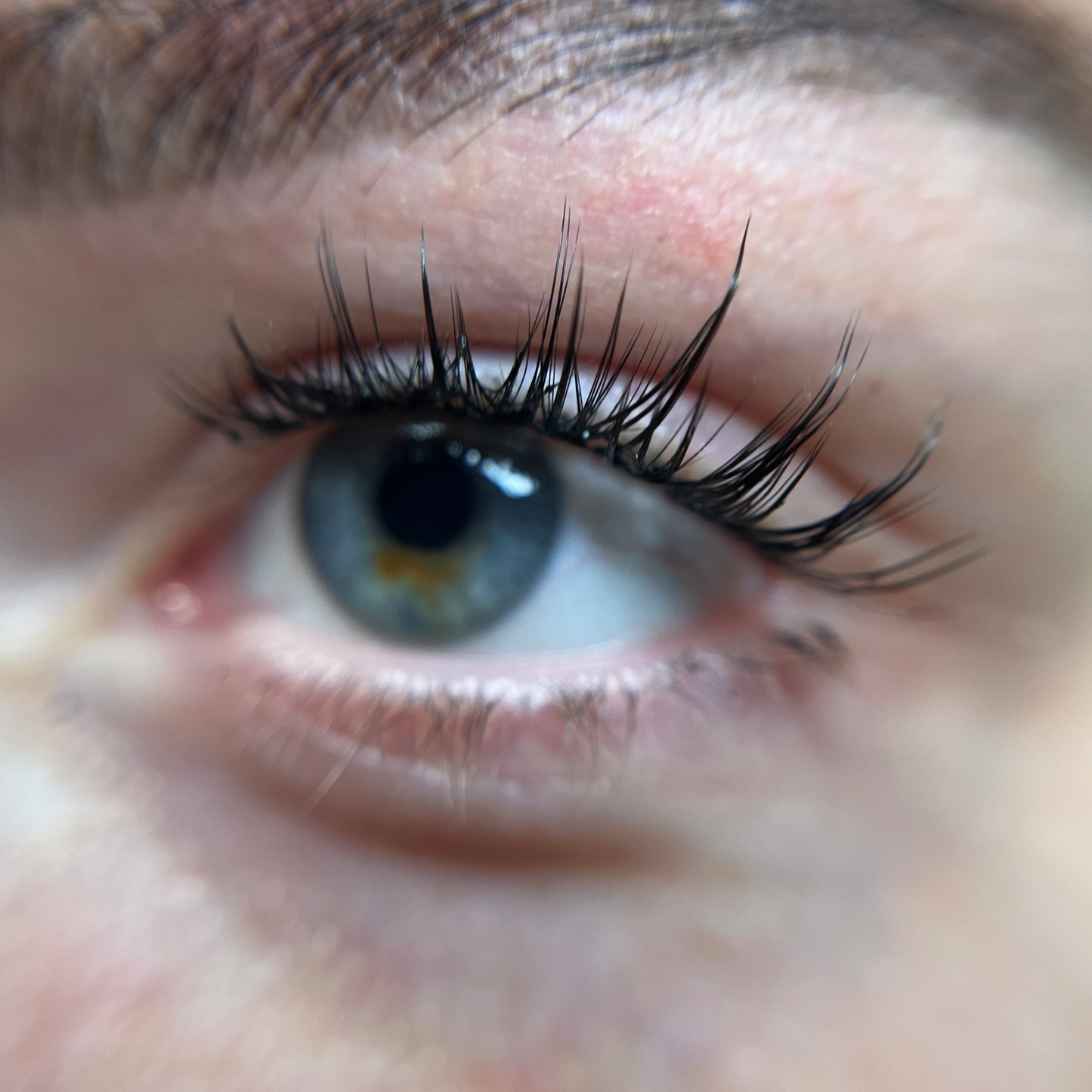 DIY Lash Kit- Natural look